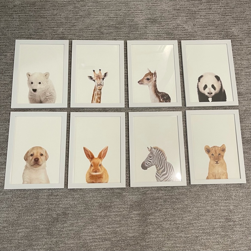 Animal prints with frames